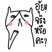 Cat boring