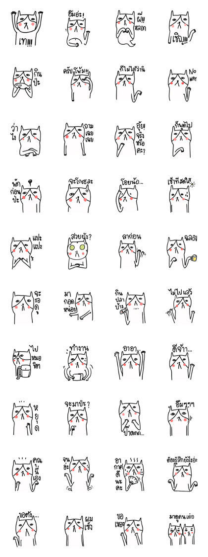 Cat boring