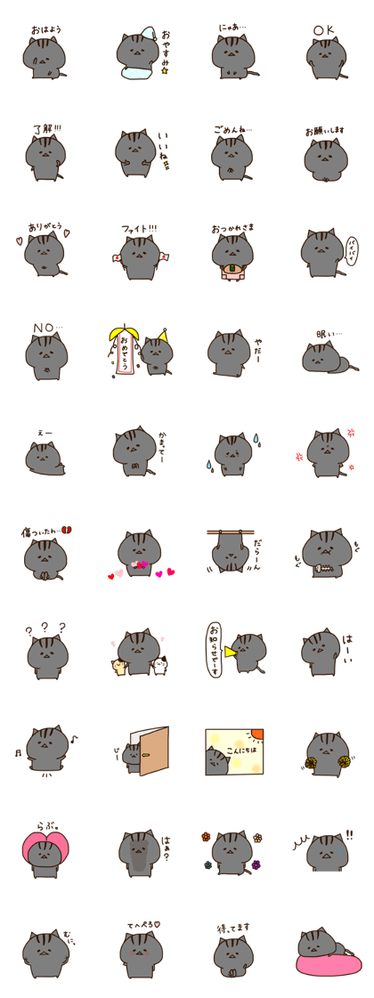 Cat urami-chan
