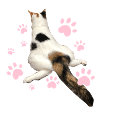 MIZUKI_20210119004009