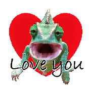love Chameleon