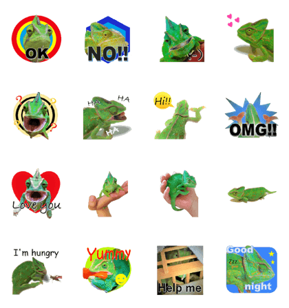 love Chameleon