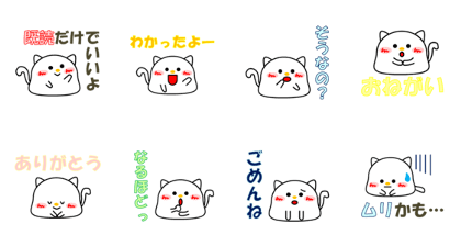 A gentle white cat