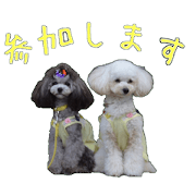 nikomitsu sticker