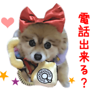 Real DOG Cosplay Pomeranian DUFFY