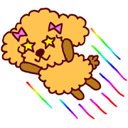 TOI-PUU-PUU of the toy poodle.