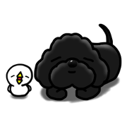 fluffy moco13