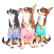 Rian Karen Uran Sticker