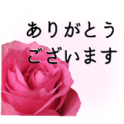 A floral message! Rose