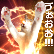 CAT FANTASY ANIMATED (Japanese Edition)