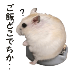 Hamster Akimaru Sticker 2