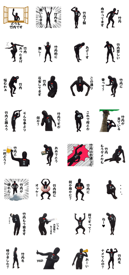 stickes for TAKEUCHI