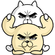 Attractive eye's dog3