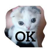 milk_20210119134329