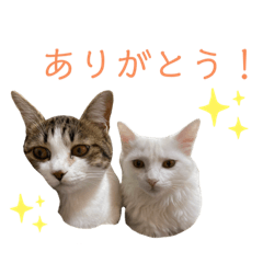 ayumi_20210119132530