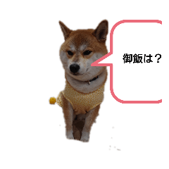 hana_20210119141203