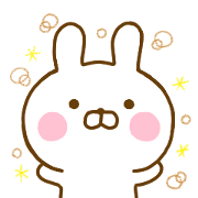 Rabbit Usahina Everyday