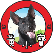 I am the manager of Hsiao Pao Huang
