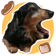 KOKOASTICKER