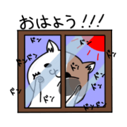Cat's "Kuu" ~ Everyday Conversation ~