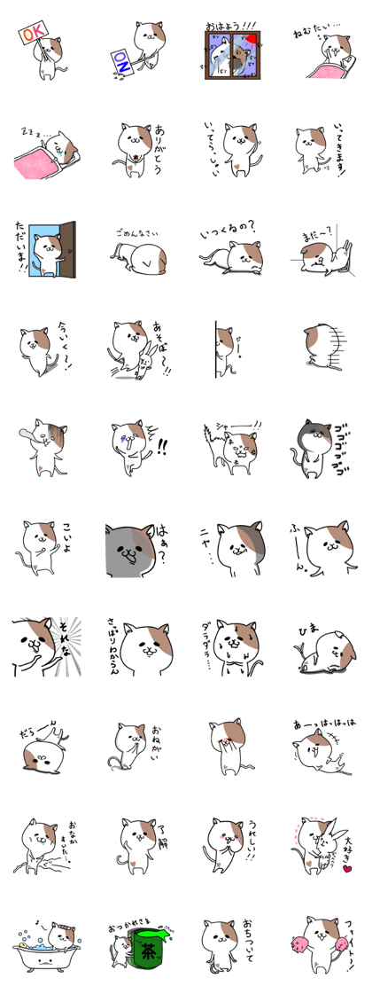 Cat's "Kuu" ~ Everyday Conversation ~