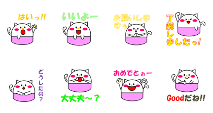 Capsule kittens