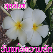 Plumeria of happiness