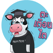 Mr.Nom More