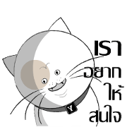 Yoyo is a good cat.
