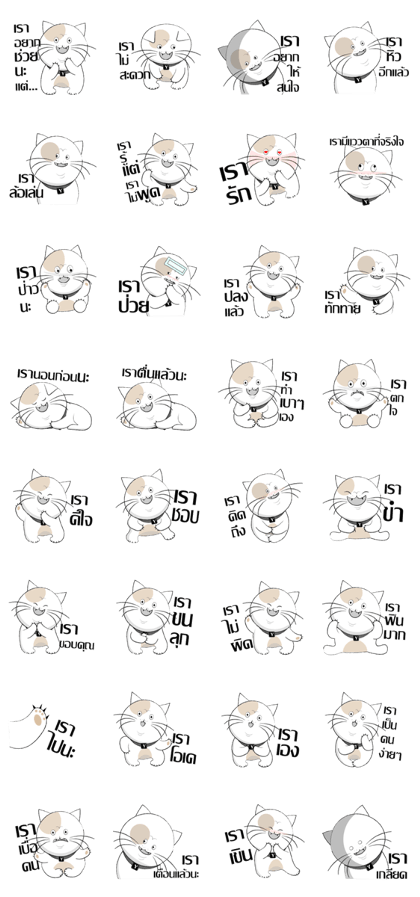 Yoyo is a good cat.