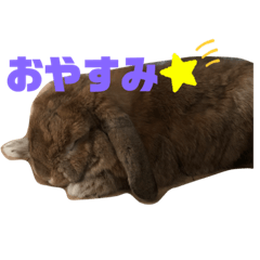 yuka_20210119151947