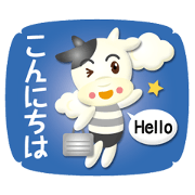 mini cattle boy