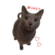 Leo's sticker