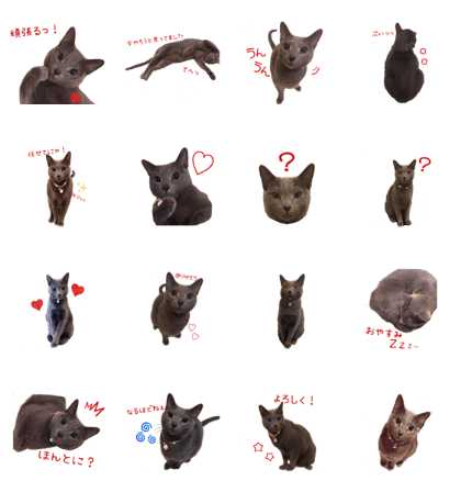 Leo's sticker