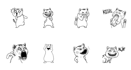 Ugly Tabby Cat