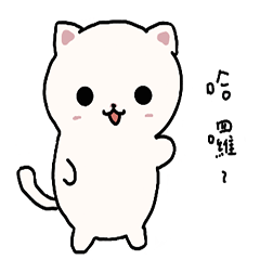 我家三寶貓