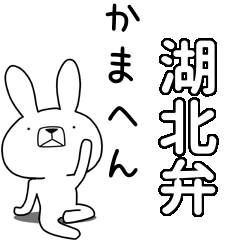 BIG Dialect rabbit[kohoku]