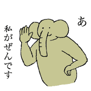 Elephant's name is Zen
