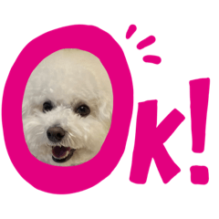 yuina_20210119172134