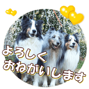 doggiesfan10