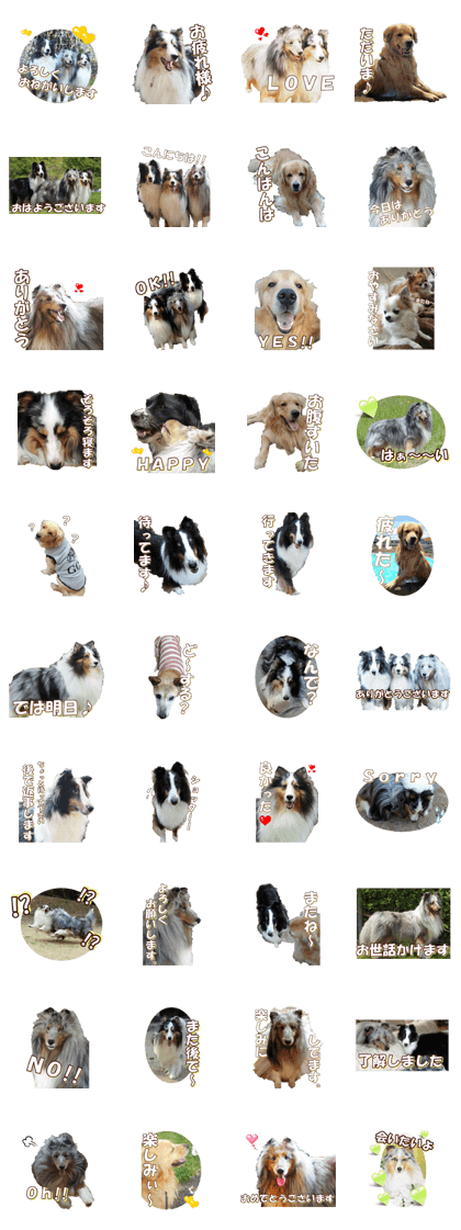 doggiesfan10