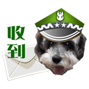 My Schnauzer