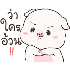 Auongrom baby pig(KS)