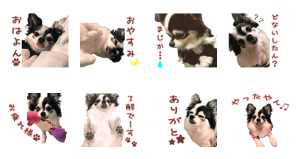 RANKO'S Sticker