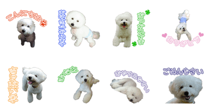 WANWANKOTARO'S Sticker