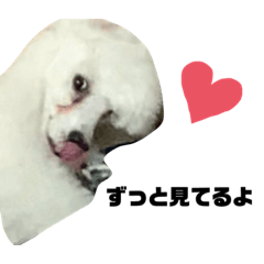 arisa_20210119215445