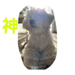 nozomi_20210119220113