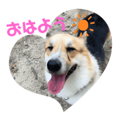 Asuka_20210119223801