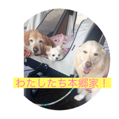 mimi_20210120030821