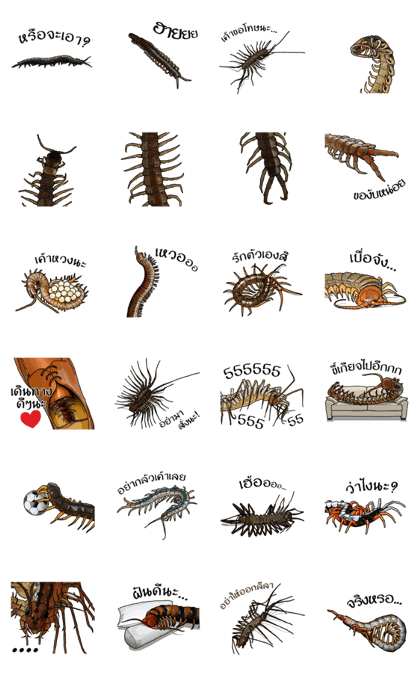 Sleepy Centipede